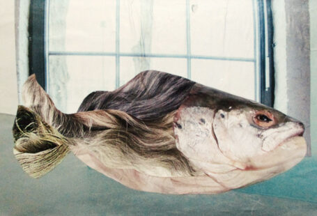 Ein Fisch auf dem Weg vom falschen ins richtige Element, Collage