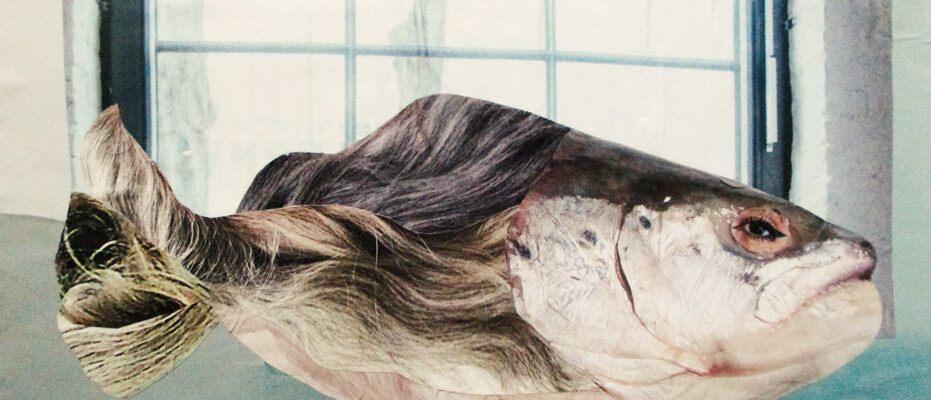 Ein Fisch auf dem Weg vom falschen ins richtige Element, Collage